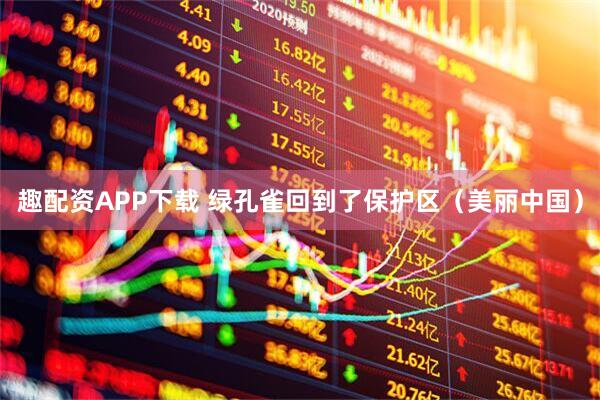 趣配资APP下载 绿孔雀回到了保护区（美丽中国）