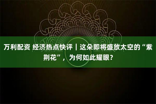 万利配资 经济热点快评｜这朵即将盛放太空的“紫荆花”，为何如此耀眼？