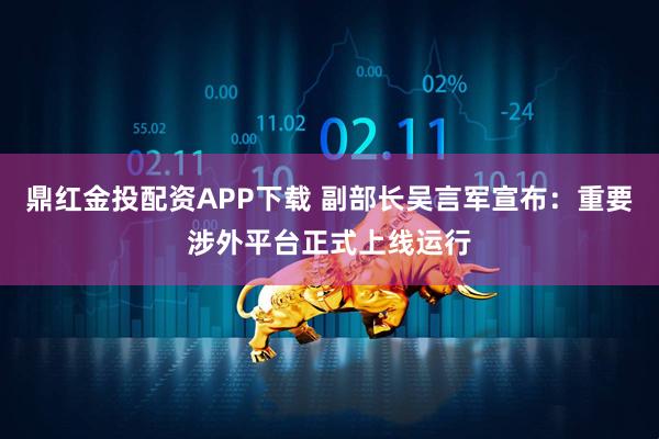 鼎红金投配资APP下载 副部长吴言军宣布:重要涉外平台正式上线运行